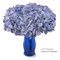 20-Pack: Soft Blue Hydrangea Picks, 3" Stems, 7" Wide, Floral Home by Artificial Flowers